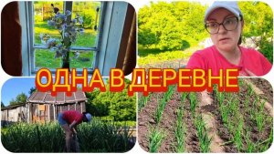 ОСТАЛАСЬ ОДНА 😳 ЧЕМ ЗАНИМАЮСЬ ЦЕЛЫЙ ДЕНЬ 🤔