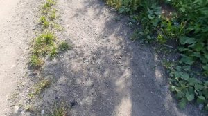 идём с заброшки часть первая