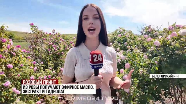 Как крымская роза вдохновляет местных художников на новые дизайн-проекты