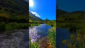 ВОПРЕКИ ВСЕМУ ЛЮБОВЬ СИЛЬНА