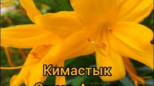 Кимастык - Ернар Аидар