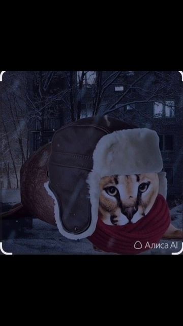 сборник смотреть онлайн