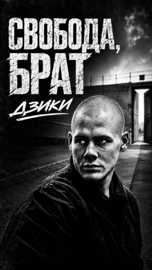 ДЗИКИ — Свобода, брат