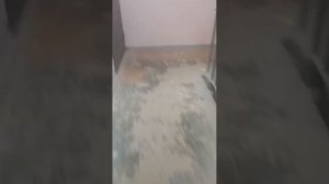 Закулисье 1серия 1 сезона