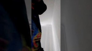 утренняя трансляция номер 2