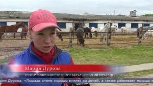 08.06.2026 В Троицком прошли региональные соревнования по конному спорту