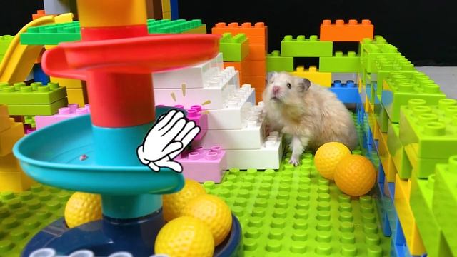 Побег Хомяка из Лего Лабиринта 🐹