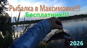 Рыбалка в Максимовке!!!Бесплатник!!!2026...