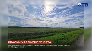 Свердловское утро от 08.06.26
