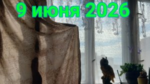 9 июня 2026. Продолжение Июньщины...