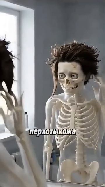 скелет