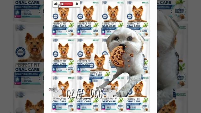 Интро!🐩 смотреть онлайн
