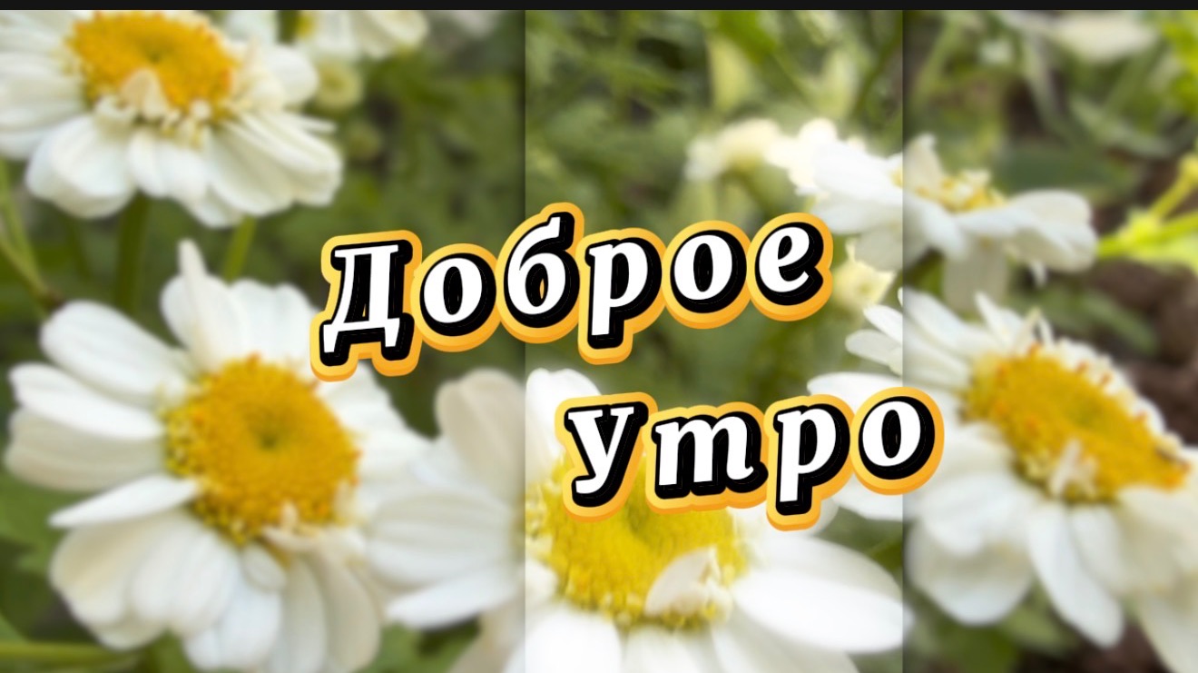 С добрым утром! Прекрасного сегодня! Музыкальная открытка смотреть онлайн