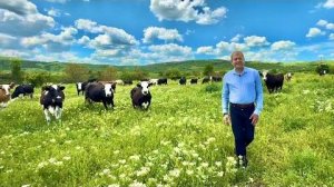 Посмотрите на каких лугах наши коровы теперь пасутся- ЗАГЛЯДЕНИЕ❤️