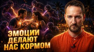 Жесть! Фатальная разница Эмоций и Чувств для практикующих