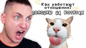 КОТЯТА МНЕ ПОЯСНЯЮТ за ЖИЗНЬ (Это видео многое говорит о нашем обществе)