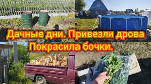 Приехали на Дачу. Работа кипит. Купили дрова. Покрасила как могла