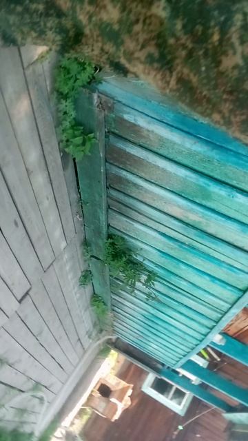 жизнь в деревне смотреть онлайн