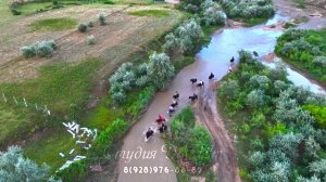 САРЫКУМ БАРХАН • Дагестан • Заповедник • Пустыня
