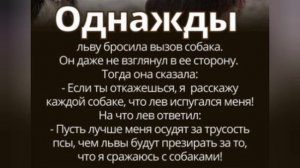 МОСЬКИ ЛАЮТ❗КАРАВАН ИДЁТ❗ПУСТЬ ЛАЮТ❗ПРОДОЛЖАЕМ КРУИЗ❗
