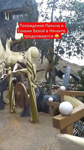 Приключения Палыча и Соньки Белой в Нячанге продолжаются 😜 #путешествия #вьетнам #нячанг физрукпалы