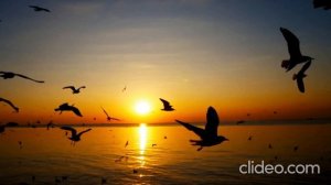 over the horizon (2026)