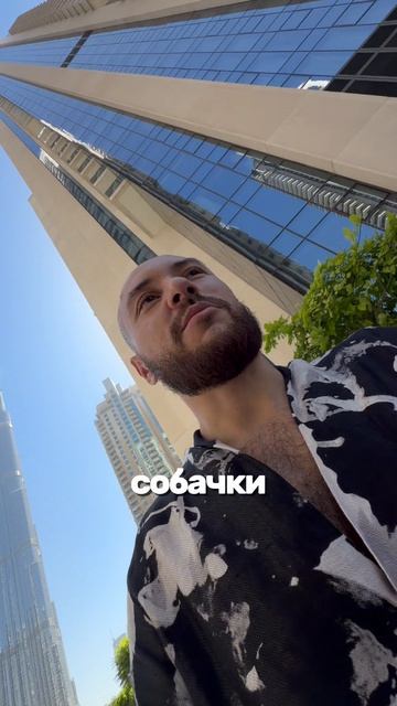 4 смотреть онлайн
