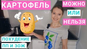СКОЛЬКО КАРТОФЕЛЯ МОЖНО НА ПОХУДЕНИИ? Можно ли есть картофельное пюре, запеченный картофель?