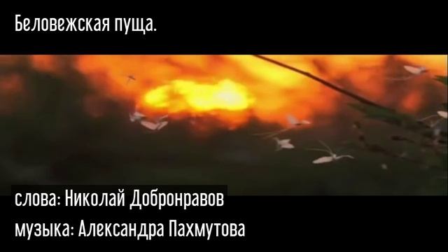 Беловежская пуща