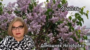 3 часть. С@пля готов купить жильё в Питере ❗️Площадь квартиры зависит от высоты потолка🤪❗️