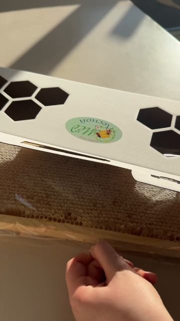 Мед в сотах 🐝🍯
