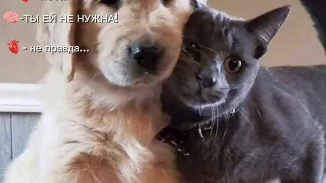 ... смотреть онлайн