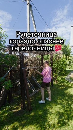 Рулеточница в деле 😎 #юмор #прикол #шутка #дача #тренд