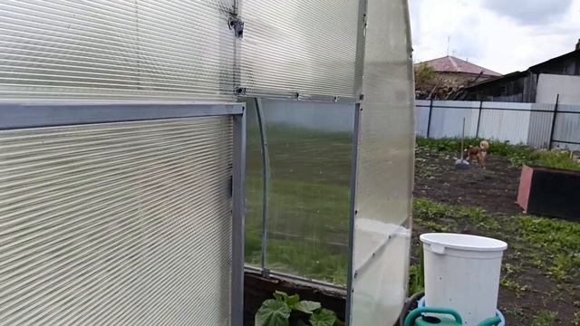 ДОМА МУЖ КОСИТ, ВСЁ РАСТЁТ, ЕДЕМ. . смотреть онлайн