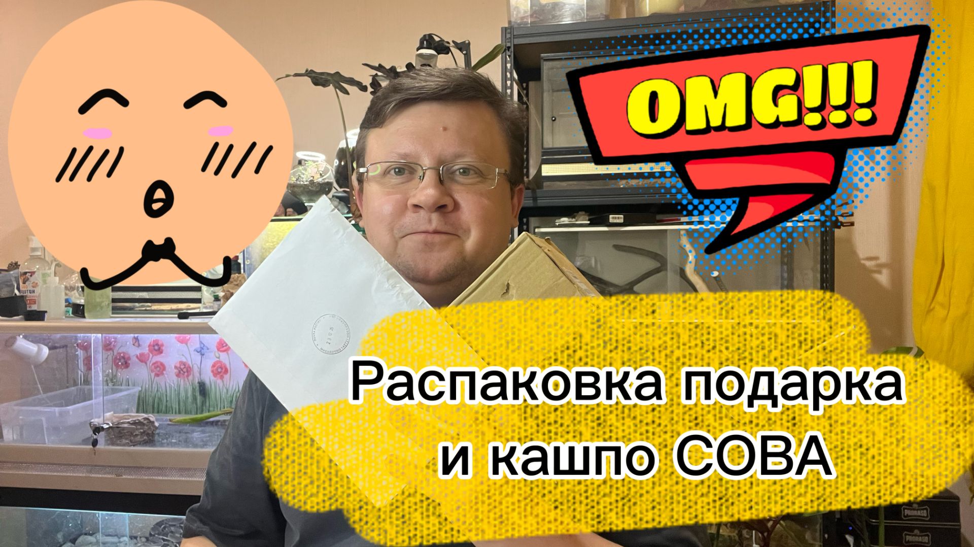 Распаковка подарка от Dancelegendzoo и кашпо с WILDBERRIES! ШОК УПАКОВКА!!!