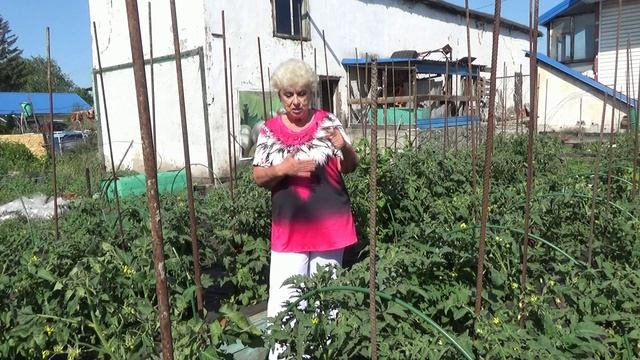Заказы семян высылаю и ОЗОНОМ. Но цена пересылки изменилась. смотреть онлайн