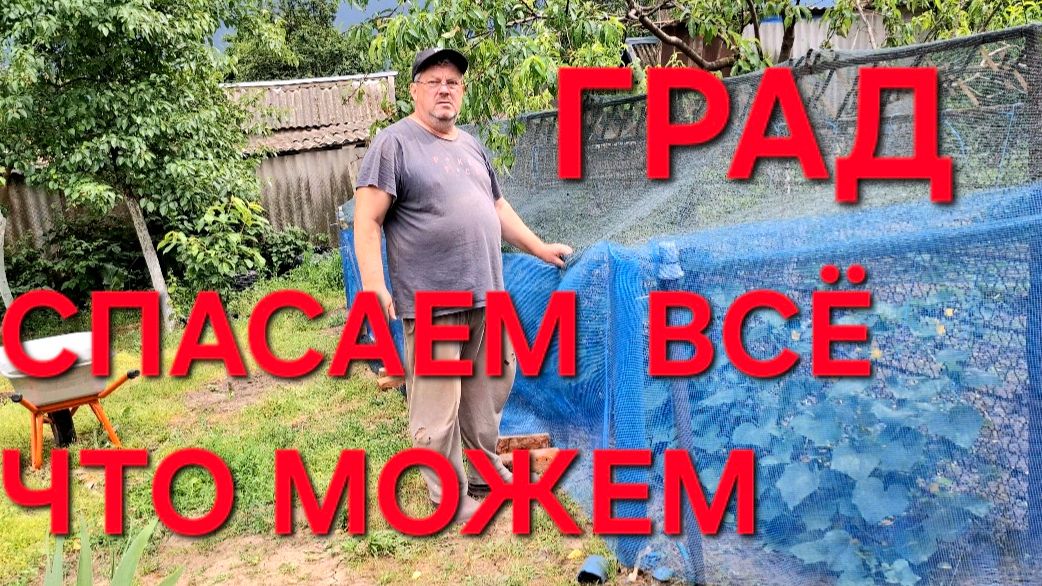 1286 Спасаем всё что можем. Гроза пришла с Градом.Всё заливает.Вот такая Жизнь на юге.