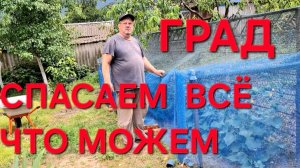 1286 Спасаем всё что можем. Гроза пришла с Градом.Всё заливает.Вот такая Жизнь на юге.