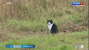 Вести. Ставропольский край» 9.06.2026 (9.30)
