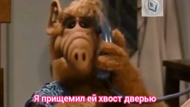 Я хочу заказать пиццу одну особую большую полный комплект на вынос! Оставьте под деревом во дворе.