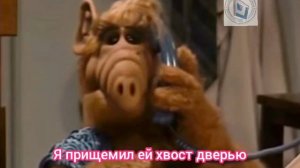 Я хочу заказать пиццу одну особую большую полный комплект на вынос! Оставьте под деревом во дворе.
