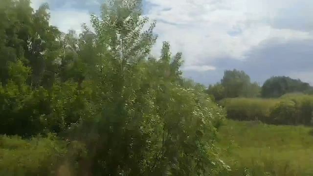 Ещё в поезде Случайные ПОПУТЧИКИ РАССКАЗЫВАЮТ