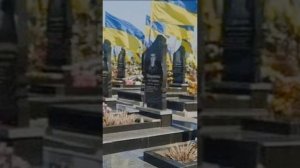 video (10).mp4