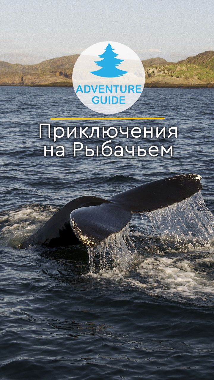 Полуостров Рыбачий и Средний #баренцевоморе #рыбачий #арктика #заполярье