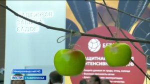 Вести. Ставропольский край» 9.06.2026 (21.10)