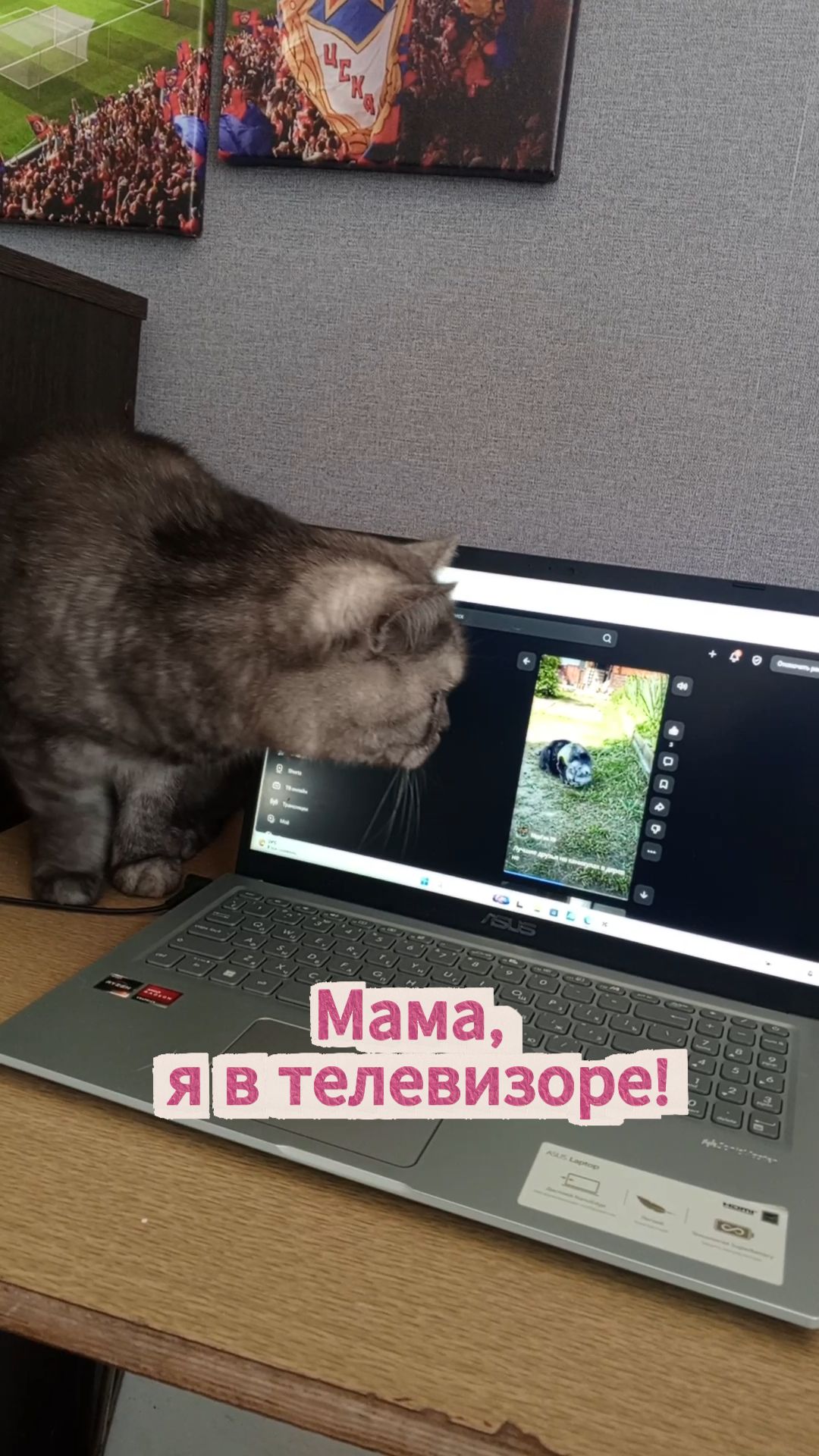 «Мама, я в телевизоре!»