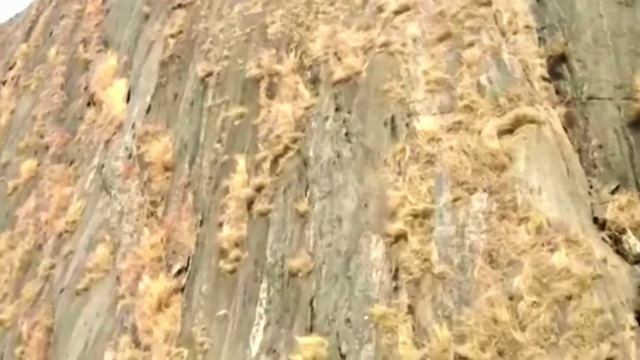 Приближаясь, дрон делает ужасающее открытие на скале.