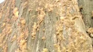 Приближаясь, дрон делает ужасающее открытие на скале.
