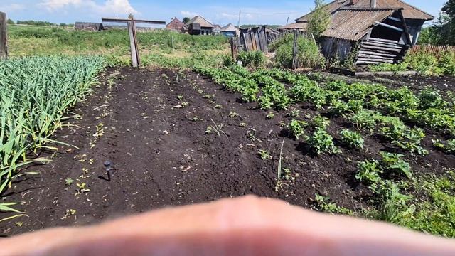 поехала в город/ досеяли овес,все заросло/ все пролил смотреть онлайн