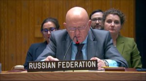 Выступление В.А.Небензи в СБ ООН по Украине